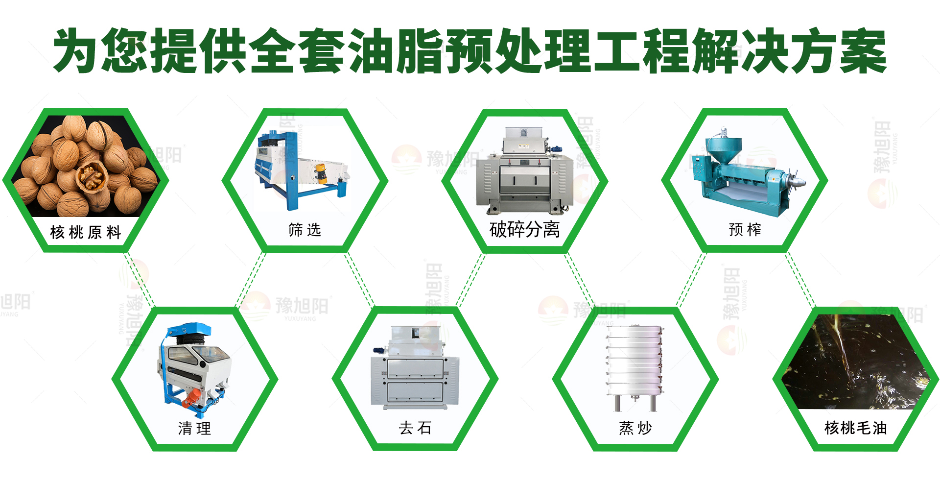 核桃预处理 核桃预处理
